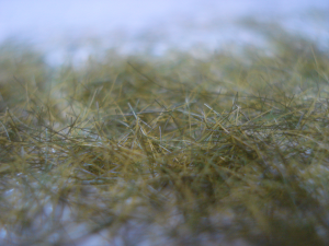 static grass closeup